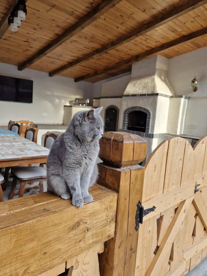 Casa De Langa Padure Hotel Sighetu Marmaţiei Buitenkant foto